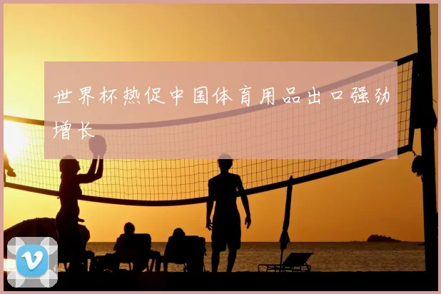 世界杯热促中国体育用品出口强劲增长